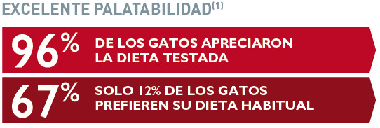alimentacion_gato_alergia.PNG