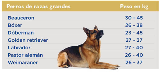 tabla-peso-perros-grandes