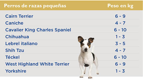 tabla-peso-perros-pequenos