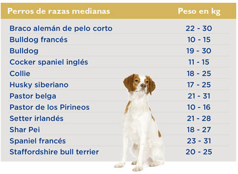 tabla-peso-perros-medianos
