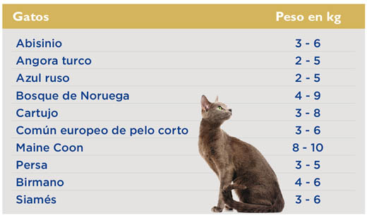 tabla-peso-gatos