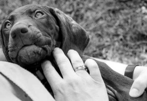 31A5745-resize1680x1120-crop1674x328-1