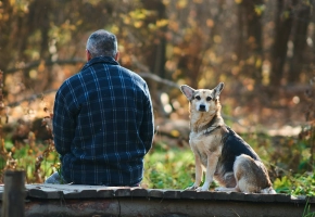 Calculadora de edad perros