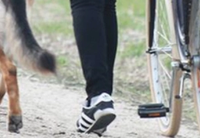 paseando-con-blondi-05