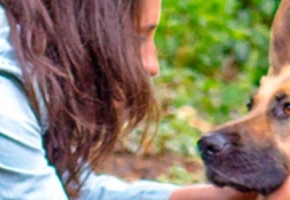 paseando-con-blondi-campo-01