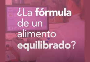 elegir-alimentacion-mascota