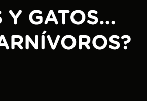 PROTEINA_PERRO_GATO