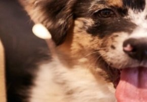 2018_ 69_TW_1500x500 (1)