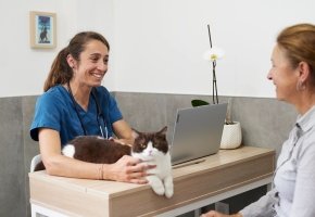 Smiling veterinarian with stethoscope talking to pet owner while cat rests on desk in veterinary clinic.