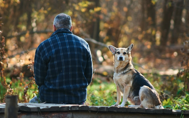 Calculadora de edad perros