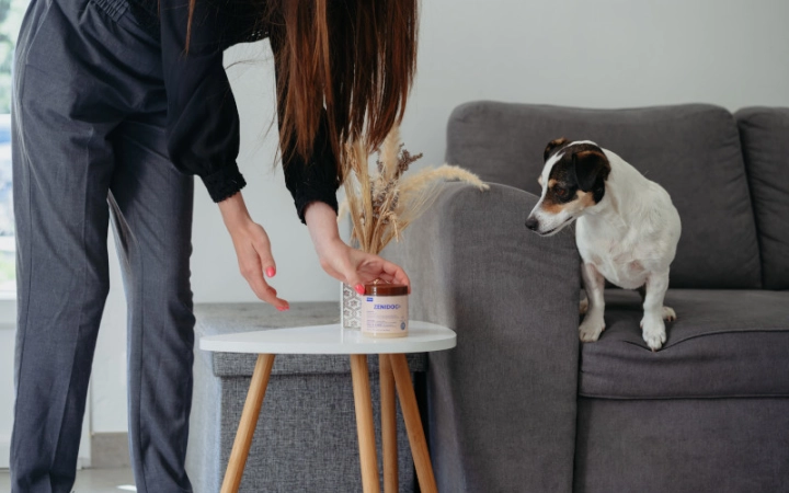 feromonas-calmantes-perros