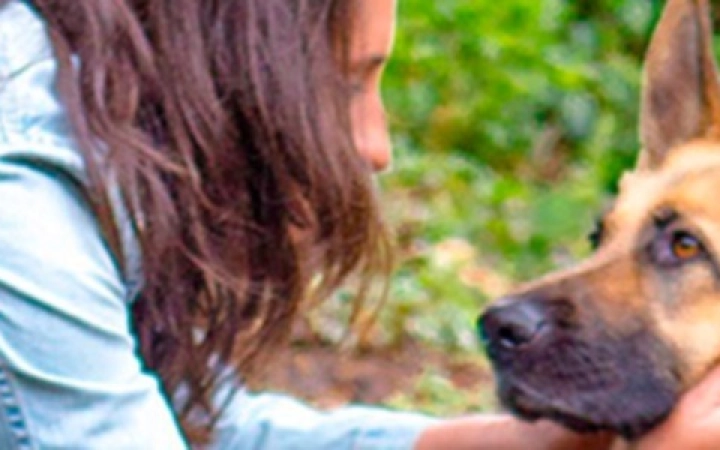 paseando-con-blondi-campo-01