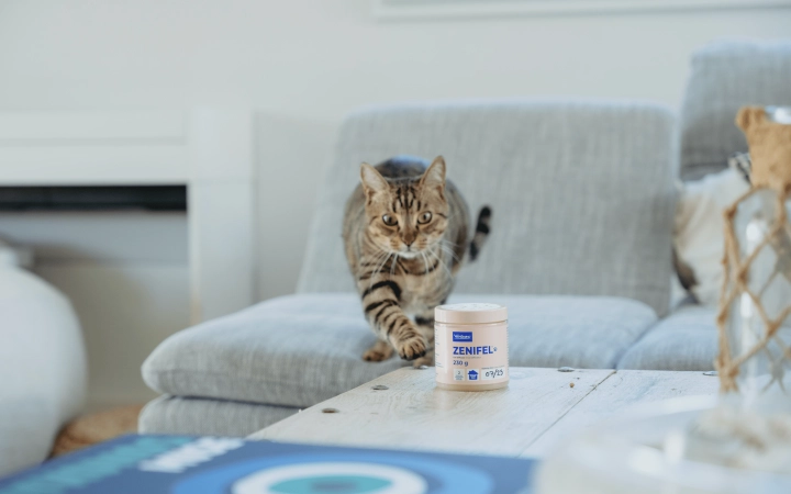 Solución-feromonas-sin-electricidad