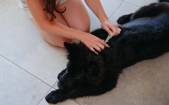 Pipeta antiparasitaria para perros de Virbac