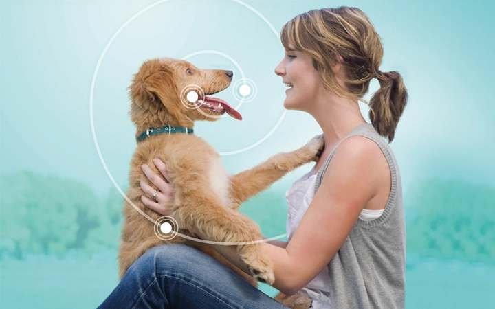 enfermedad-periodontal-perros