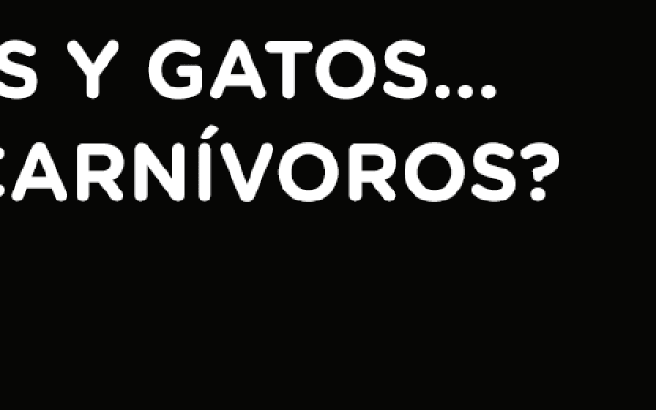 PROTEINA_PERRO_GATO