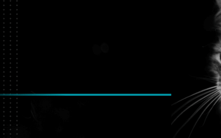 HPM_KJ_BANNERS_NOWET_476x320_968x300-1