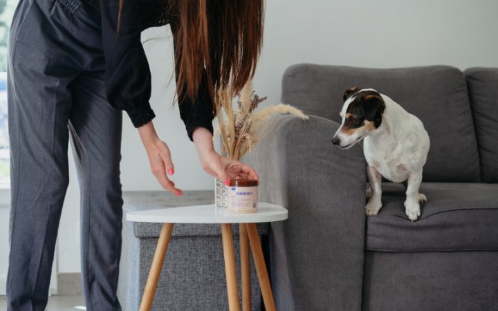 feromonas-calmantes-perros