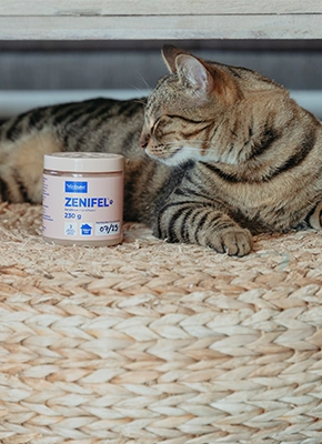zenifel feromonas para gatos