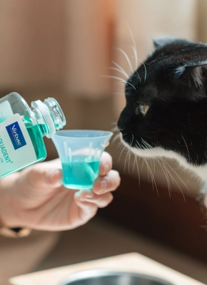 solucion-agua-bebida-mascotas