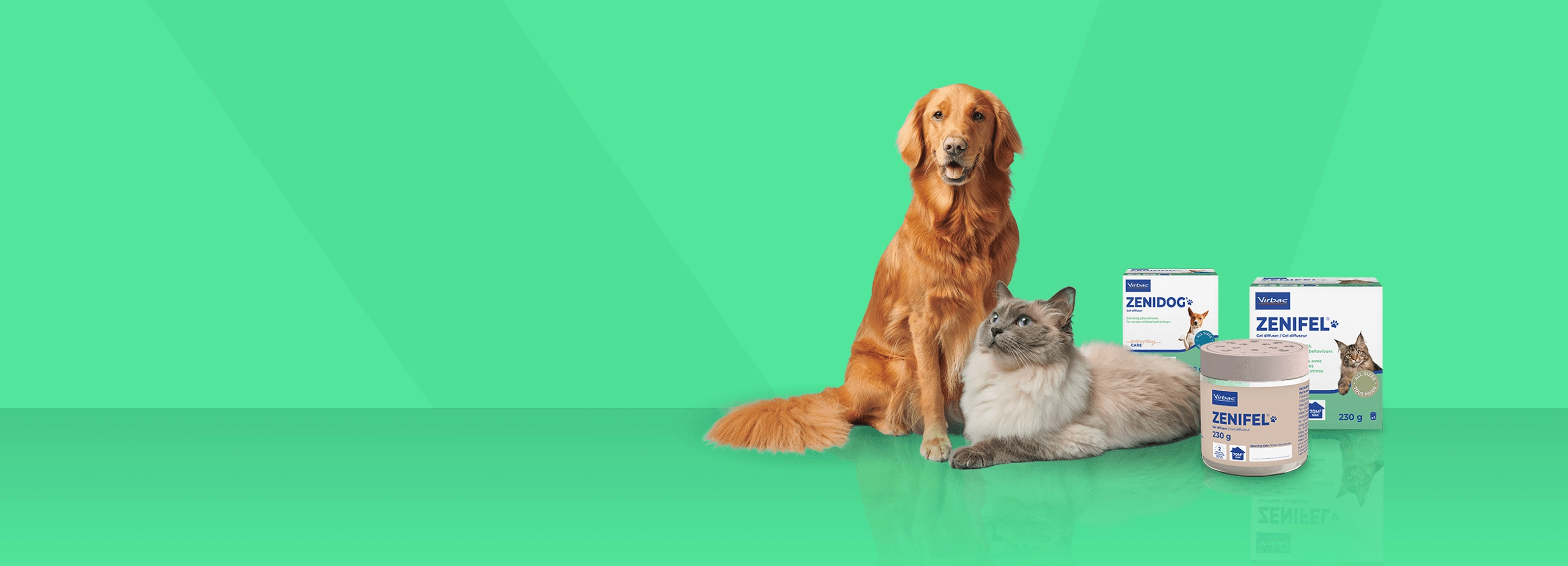 lanzamiento-zenifel-zenidog