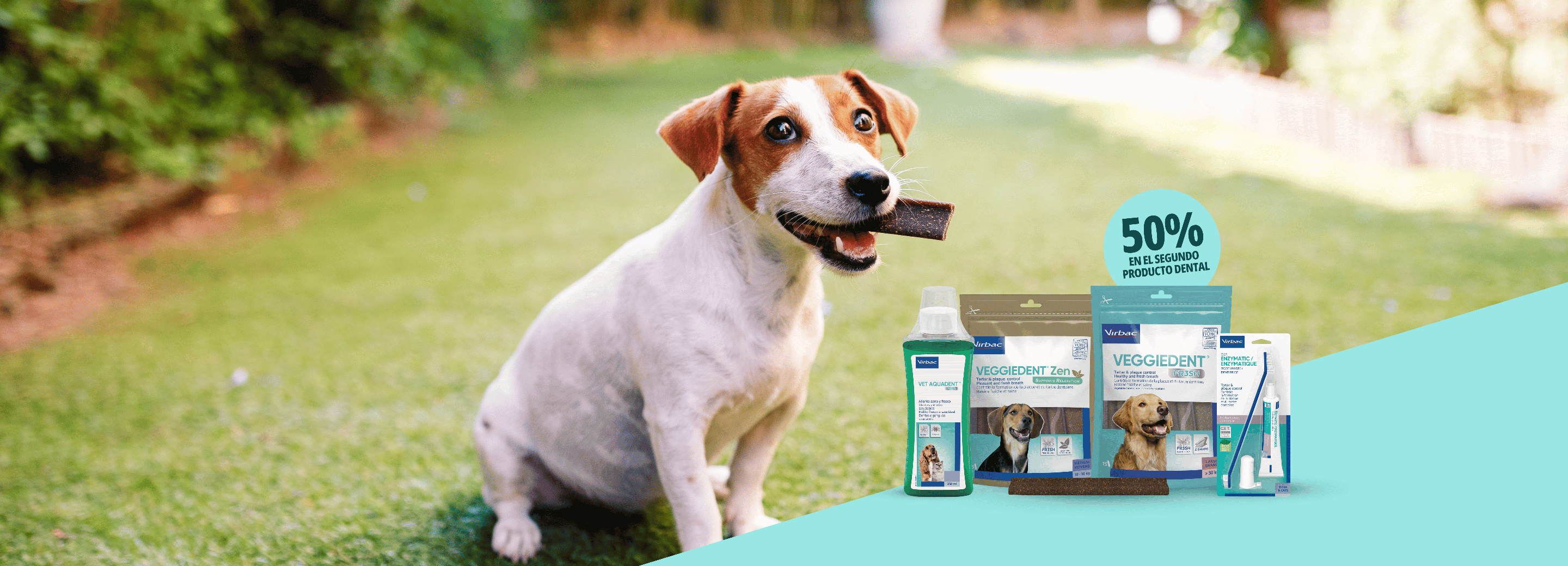 Dental promo 50 descuento