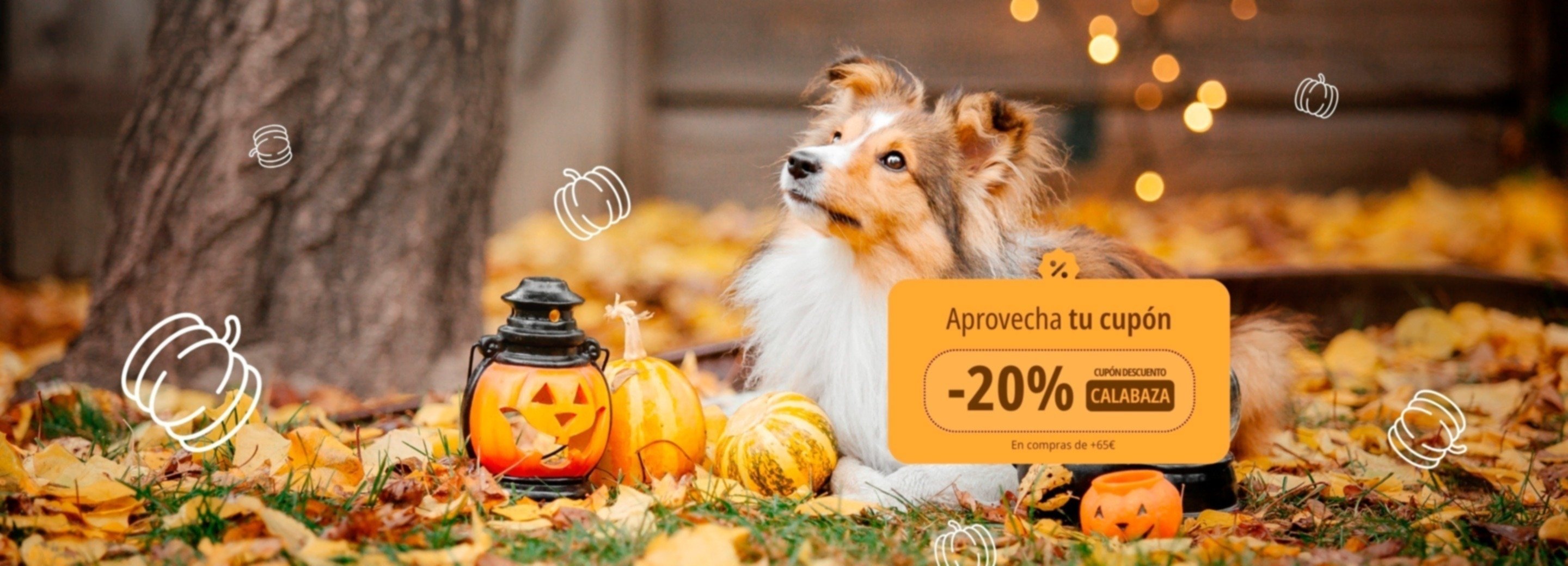 Virbac Halloween promo 2025