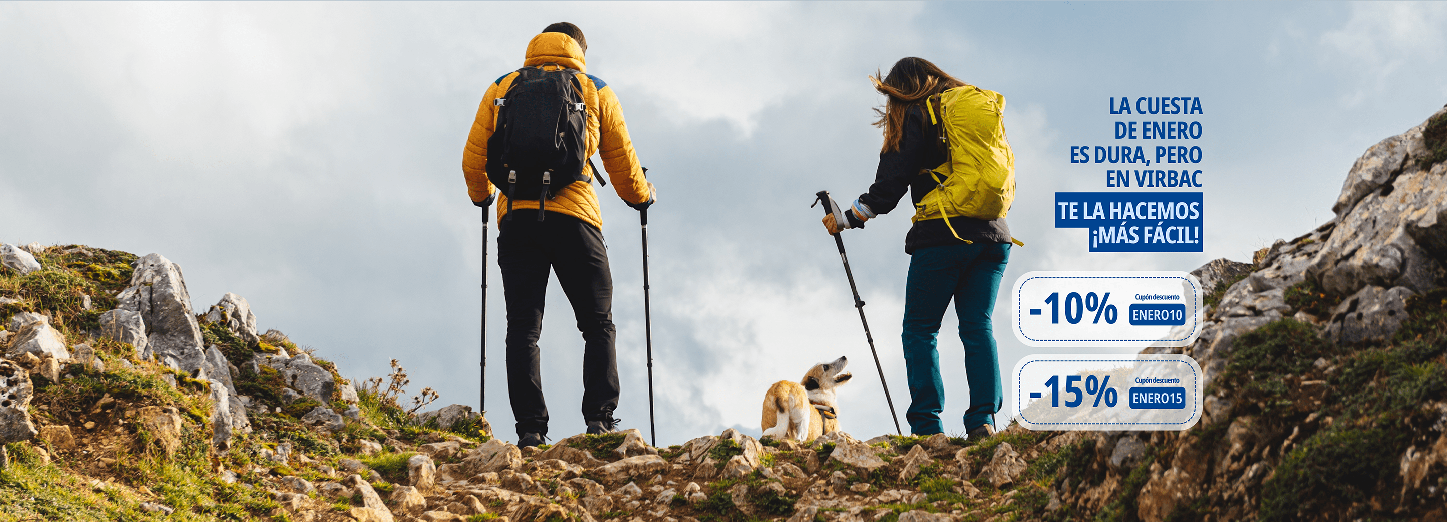 Promoción enero cuesta 2026