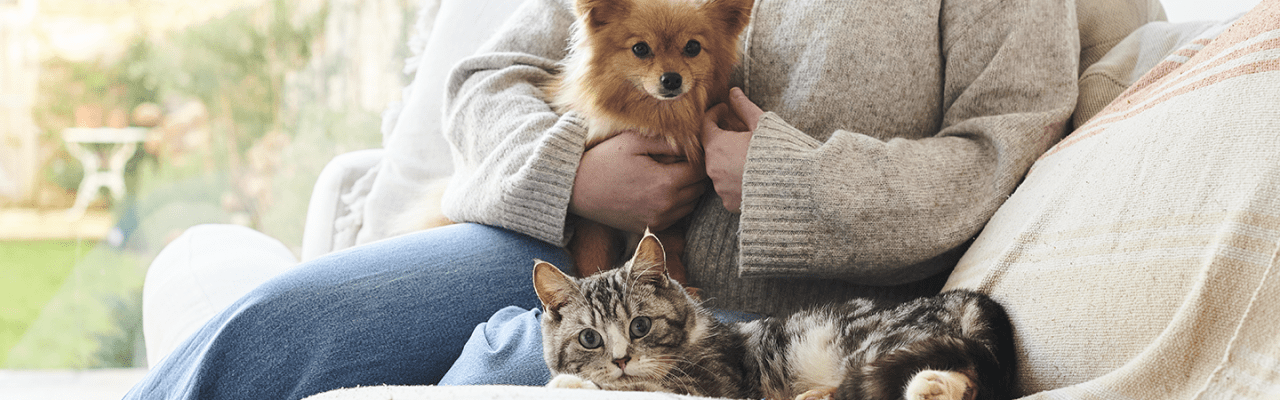 veterinaryhpm-innovacion-calidad-virbac