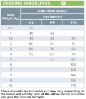 guidelines cat baby.png