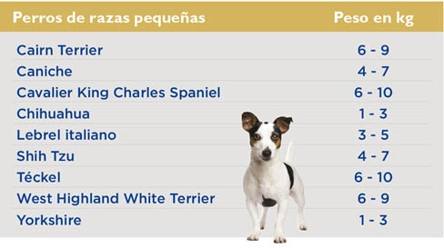 tabla-peso-perros-pequenos