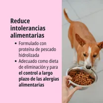 ES_A2-Perros_Unity-visual_2_2026.jpg