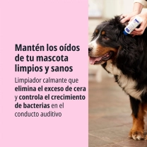 ES_EPIOTIC_2_2026.jpg
