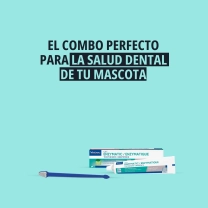 ES_CET-Dentalpaste_Unity-Visual-2_2026.jpg