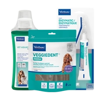 gama dental veterinaria