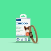 ES_Zenidog-collar_Visual-1_2026.jpg