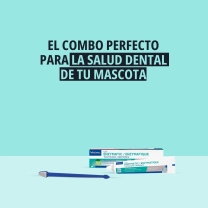 ES_CET-Dental_Visual-2_2026.jpg