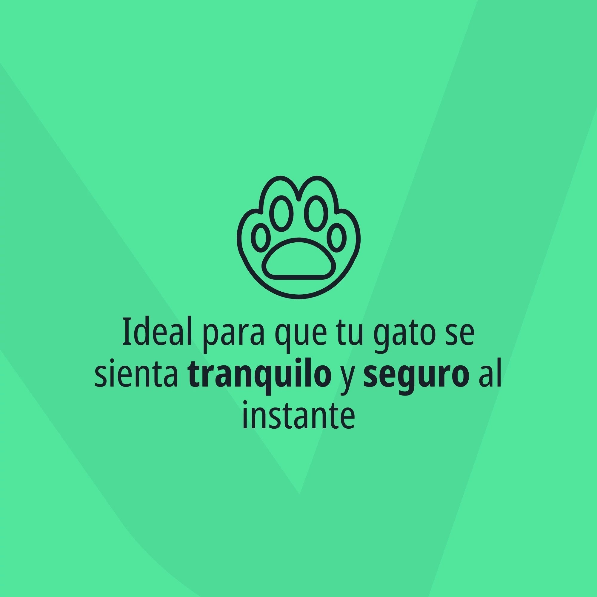 Zenifel Spray imagen 5