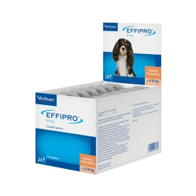 Effipro spot on Dog