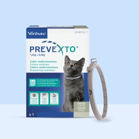 Prevexto cat