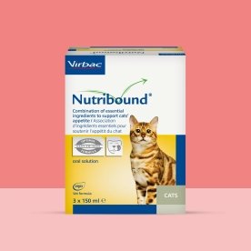 Nutribound / Rebound Recuperation