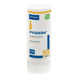 Pyoderm