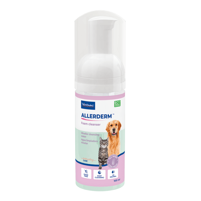 Allerderm foam