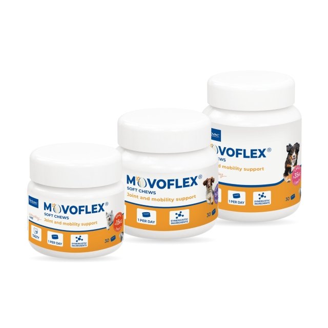Movoflex Dog