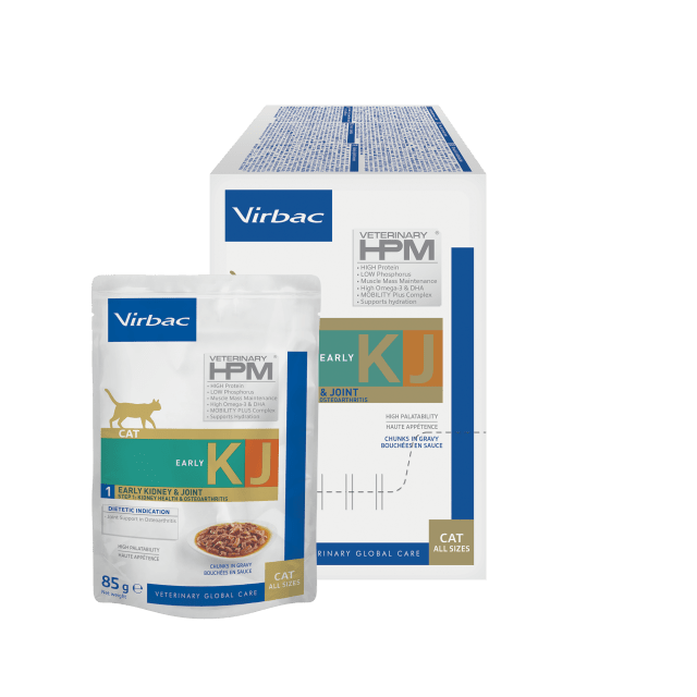 HPM Wet - early kidney cat