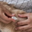 ES_Allerderm-Spot-on_Visual-5_2026..jpg