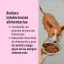 ES_A2-Perros_Unity-visual_2_2026.jpg