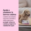 ES_Allerderm-Spot-on_Visual-4_2026..jpg