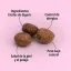 ES_A2-Perros_Unity-visual_4_2026.jpg