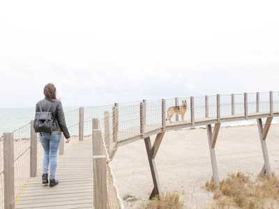 paseando-con-blondi-effitix02